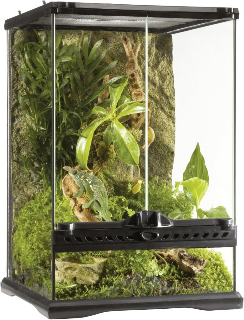 Exo Terra Enclosure